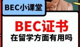 圈内人爆料英语怎么说,英语如何表达？
