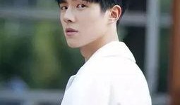 白张cp的圈内爆料是谁,是谁在暗中操控？