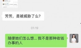 爆料芳姐说真话视频大全,芳姐说真话视频大全深度解析