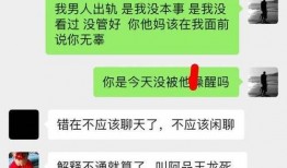 圈内爆料大瓜聊天记录,独家聊天记录揭秘娱乐圈惊人内幕