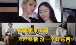 唐蔚华闺蜜爆料视频大全,真相与幕后故事全解析