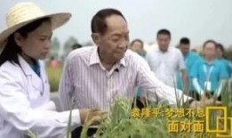 网友爆料袁隆平视频,揭秘杂交水稻育种奇迹背后的故事