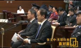 再审在线观看,揭秘法律重审的精彩瞬间