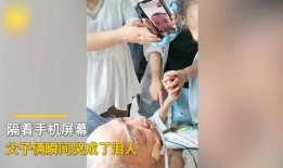 父子通话视频爆料,温情互动背后的感人故事