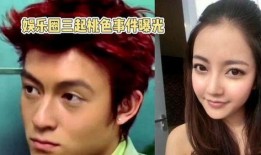 娱乐圈的一些爆料事件是什么,揭秘明星背后的真相与争议